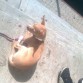 estoy tomando el sol (eso me encanta)